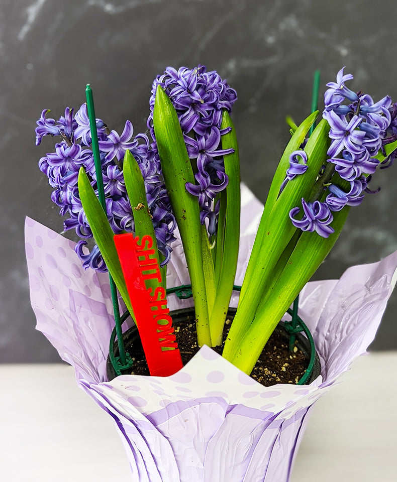 Plant stakes, garden stakes for vegetable, plant stakes funny, garden markers, plant marker set, garden decor, gift for garden lover