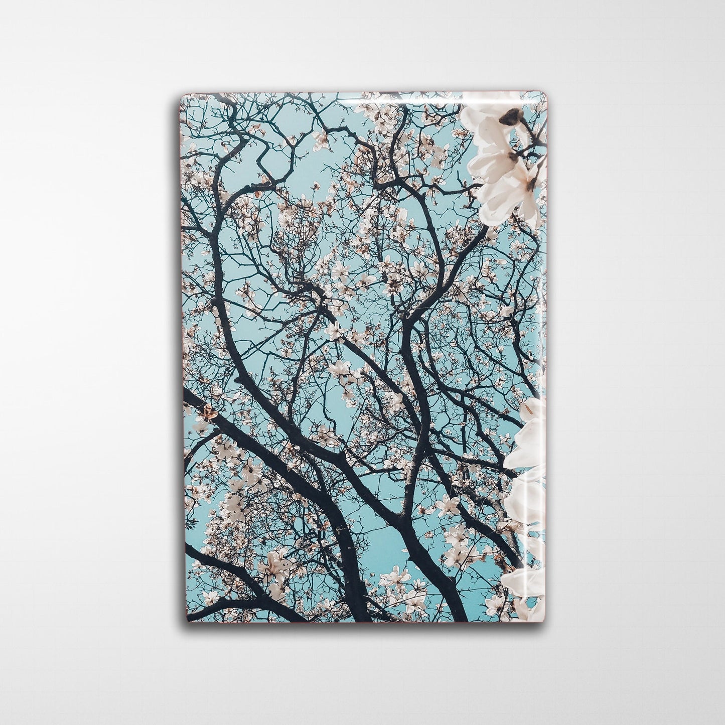 Custom Photo Magnet 2x3"