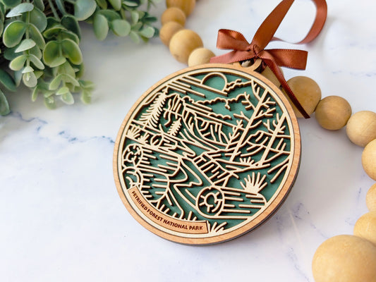 Petrified Forest national park ornament, Petrified Forest ornament, Petrified Forest souvenir, national park gifts, national park ornament, gift for hiker, Christmas gift